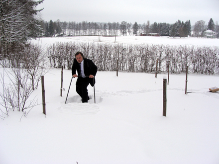 itsen�isyysp�iv�2010